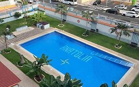 Playa Jardin Bus Terminal Pool